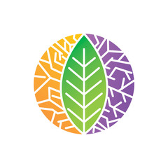 Leaf Logo Design Vector Template Set