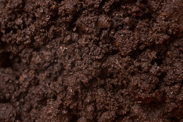 Ground for plant close up. selective focus. Concept ecology
