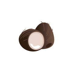 Vector coconut exotic tropical fruit cartoon icon