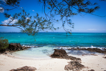 Picturesque beach and Indian Ocean view at Changuu (Prison) Island near Zanzibar, Tanzania.