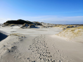 Fototapeta na wymiar Dunes in Amrum Northern Germany
