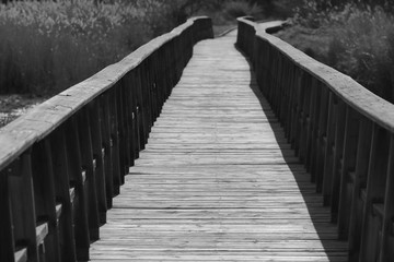 Fototapeta premium Walkways in the Las Tablas de Daimiel National Park, Spain, in black and white
