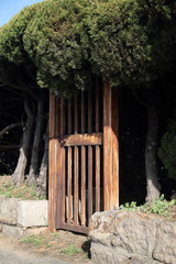 Furtka do krzew&oacute;w 1