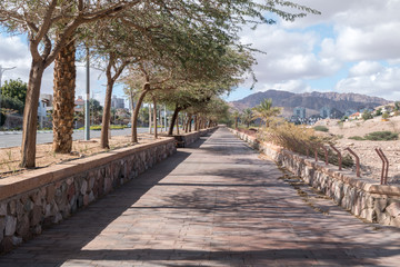 Pavement with trees in Eilat, Israel.