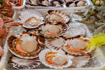 Vieiras