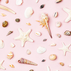 Seashells and starfish on a pale pink background.  Summer time concept. Nautical pattern.