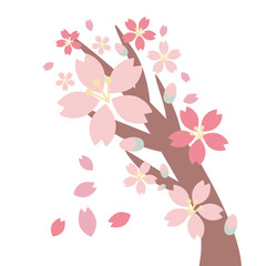 桜の木のイラスト