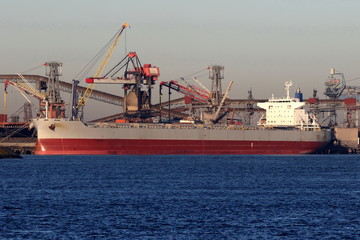 grauer Massengutfrachter wird im Hafen entladen