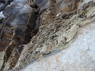 cliff