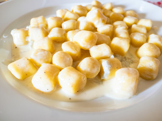 typical gnocchi with sauce from Gorgonzola
