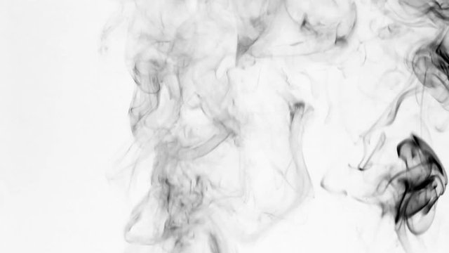 Twists of black smoke on a white background.