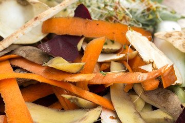vegetable peelings in composting pile