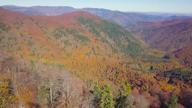 aerial drone shot spinning backwards, revealing colourful vegetation, forest on mountain, in Bolu, Turkey