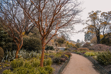 Dunedin Botanic Garden, South Island, New Zealand