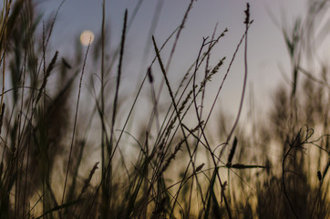 Landscapes and nature