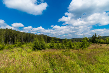 Fototapeta na wymiar Tranquil landscape and blue sky with a few clouds at summer hot day. Beautiful green forest. 