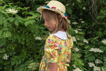 Portrait of a young girl in a yellow dress and hat against the background of a blossoming elderberry berries bush