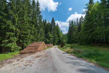 Timber Stack of felled trees near a logging site waiting to be driven away.