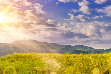 Beautiful sunrise in a spring morning over a colorful bright yellow rapeseed Brassica napus crop filed, with dramatic cloudy sky, enhanced sun light rays and mountains in the background.