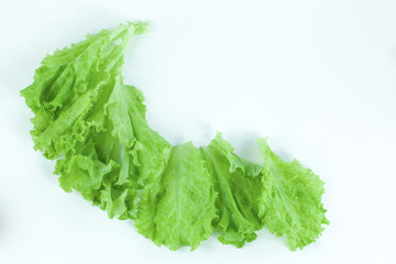 Salad leaf. Lettuce isolated on white background.