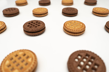 Chocolate and vanilla cookies with cream on a white background. Perspective
