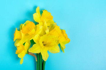 Beautiful yellow flowers of daffodils on a blue background  Holiday concept Hello spring, Happy easter, 8 March, International Womens day, Mothers day Top view Flat lay