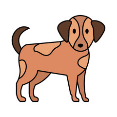 cute little dog mascot