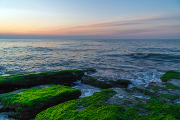 Colorful sea shore with green algae, splashing waves
