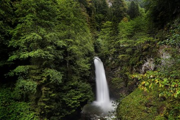 Palovit Waterfall with in the green forest, Rize, Turkey 