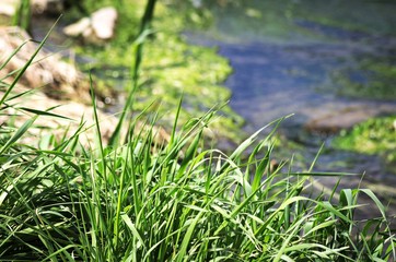 Fluss3