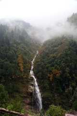 Palovit Waterfall with in the green forest, Rize, Turkey 