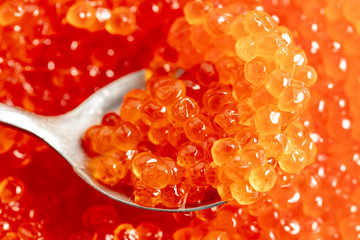 Red caviar on the spoon as a background