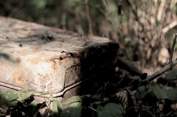 Wald9