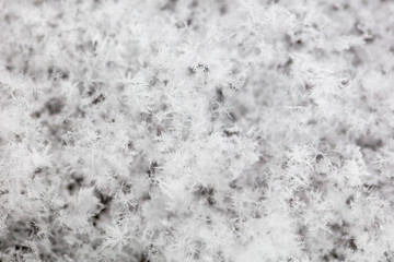 White snowflakes on nature as a background