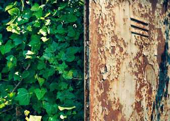 ruined industrial buildings (cross process)