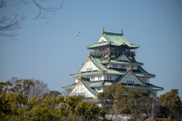 Osaka Castle in Osaka.