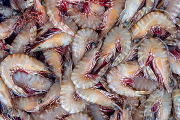 Sea fresh shrimps at street market in Thailand. Seafood concept.