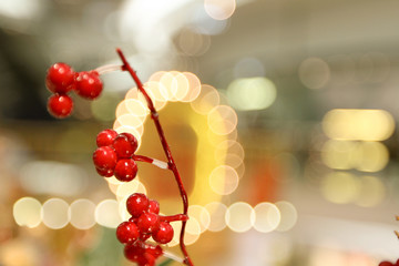 xmas decorations at the hk shopping mall
