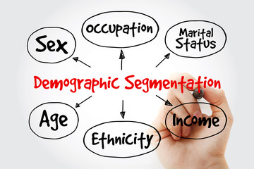 Hand writing with marker Demographic segmentation mind map flowchart social business concept for presentations and reports