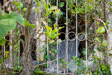 ruined abandoned constructions in abkhazia