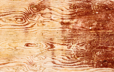 Holz0903a