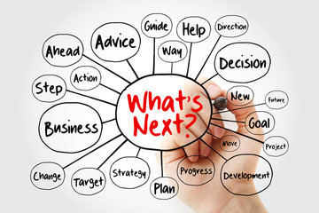 What's Next? mind map flowchart with marker, business concept for presentations and reports