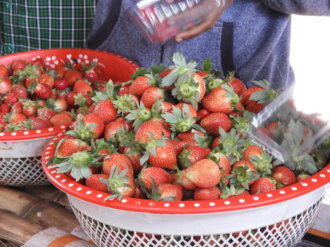 colorful strawberry fruits in a basket closeup