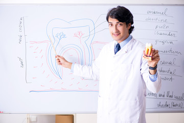 Young handsome dentist in front of the whiteboard 