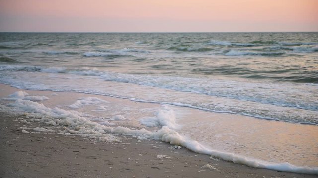 Red Tide Algae Bloom Toxic Foam Crashing With Sunset Reflection In Naples Beach In Florida Gulf Of Mexico On Sand With Nobody