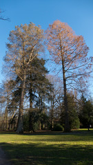 Naklejka premium öffentlicher Park von Schloss Favorit, am See in Förch mit hohen Bäumen