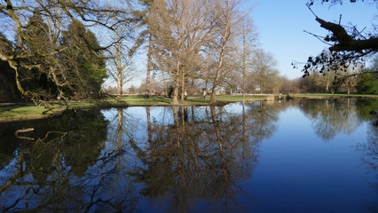 öffentlicher Park von Schloss Favorit, am See in Förch mit hohen Bäumen
