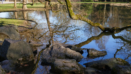 öffentlicher Park von Schloss Favorit, am See in Förch mit hohen Bäumen