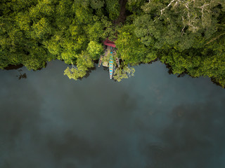 drone shot of jungle before the rain