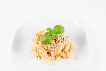 Pasta - penne with white cream sauce with bacon on a plate, decorated with fresh basil	
